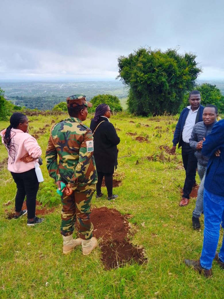 Tree planting event at Ngong Hills, Kenya